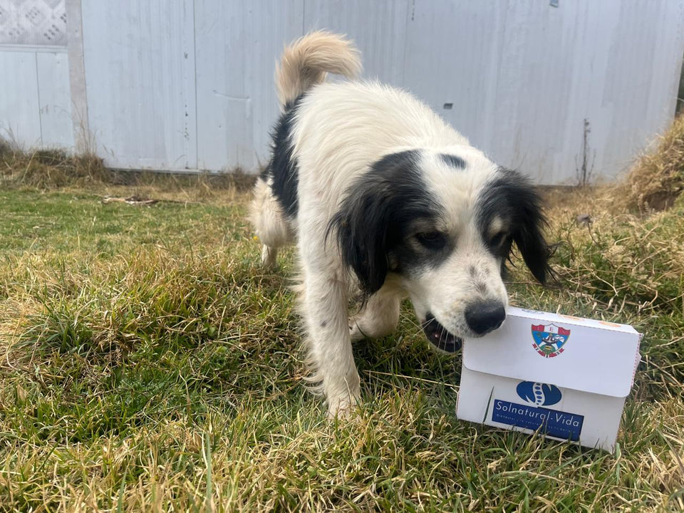 CROQUETAS - SUMAQ CAN